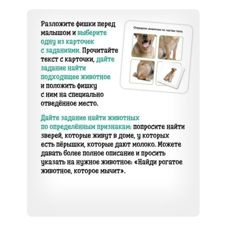 Useful suitcase "Pets", according to the methodology of Doman, plastic chips-4