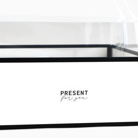 Box for flowers with a mold liner and PVC cover "Present", 23.5 x 23.5 x 15 cm-1