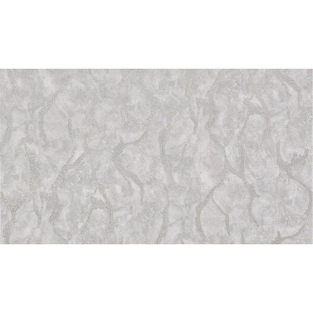 Vinyl wallpapers on a paper basis Vesuvius-21 11sb2-D Bryansk wallpaper 0.53x10.05 m