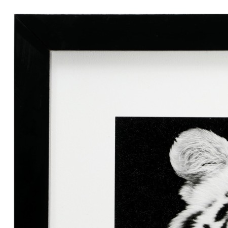 Picture "White Tiger" 35x35 (39x39) cm-1