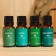 A set of essential oils "Fir. Mint. Pine. Eucalypt" cosmetic, 4 pcs 15 ml