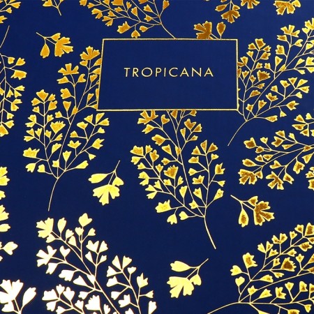 The diary is low, A5, 136 sheets, leatherette, Devente. Tropicana, solid cover, foil embossing, perforation, liesse, block 70%, dark blue-1