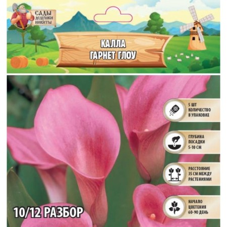 Kalla "Garnet Glow", district 10/12, 5 pcs, spring 2024