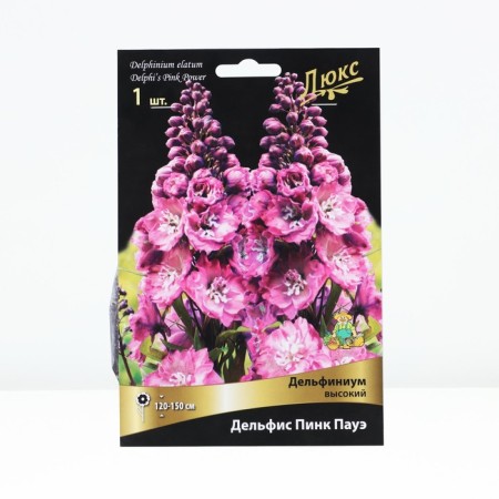 Dolphinium High Delphis Pink Paue, rr I, 1 pc, spring 2025