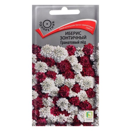 Flower seeds Iberis Umbrella "Ganate Ice", 0.1 g