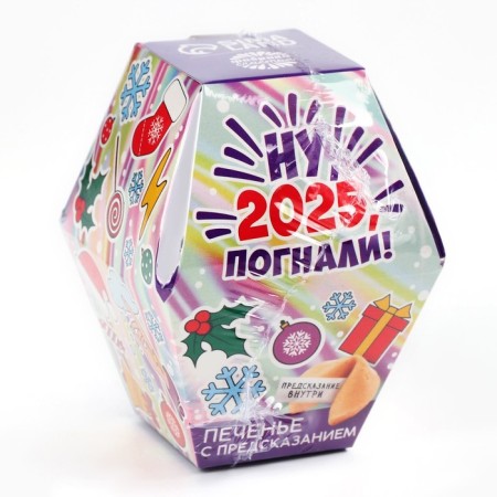 Cookies with predictions in the box "Well, 2024, drove"-6