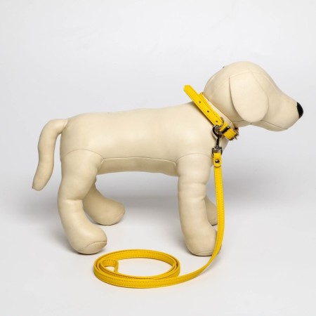 Set of collar (26-34x1.4 cm) and leash (120x1 cm) from eco-leather, yellow-5