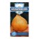 Seeds onion repch. "Bogatyr Force", 0.2 g