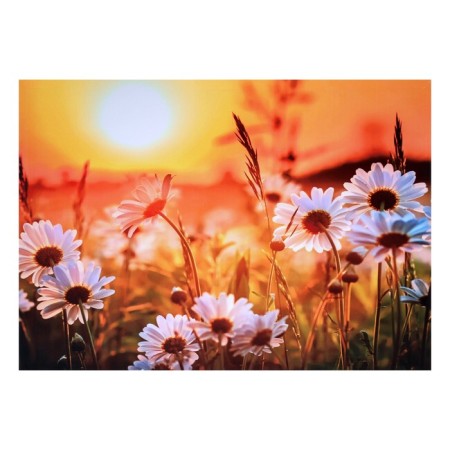 Picture on the canvas "Chamomile" 50*70 cm
