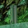 Portable column Hoco HC11, 10 W, VT 5.0, FM, AUX, Lantern, 1200 mAh, Green