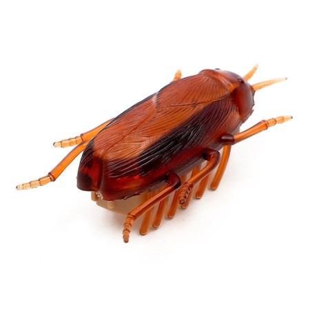 Taracan bug, works from batteries-2