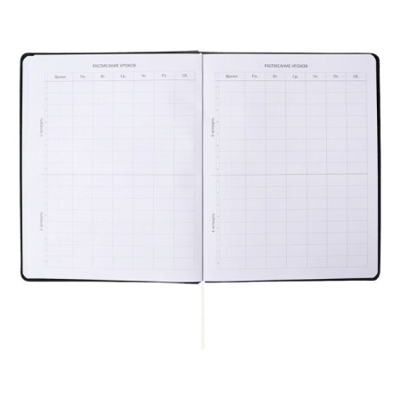 Universal diary for class 1-11, integral cover, artificial leather, silkography, liesse, 80 g/m2-4