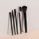 A set of makeup brushes, 5 items, PVC chech, black color