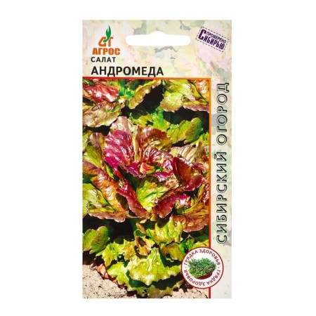 Salad seeds "Andromeda" 0.3g* sheet