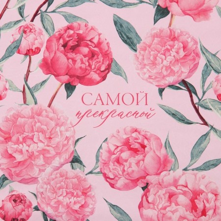 Paper Glossy double -sided “most beautiful”, 70 x 100 cm-2