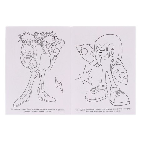 Coloring "Super Hedgehog"-4