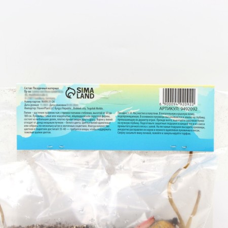 Lilia O.T. Hybrid "Friso", district 12/14, 2 pcs, spring 2024-3