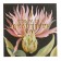 Set Gift Ethel Happy Moment: a towel, stands, a kitchen spoon, a kitchen blade