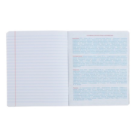 Notebook “World of the Future”, 48 sheets in a ruler, “Literature”, coated cardboard, metallized paint, OFSET block-5