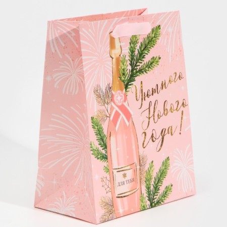 Laminated vertical package “For you”, MS 18 x 23 x 10 cm, New Year-1