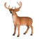 Figure Konik "White -tailed deer, male"