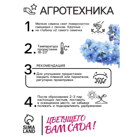 Flowers of the Dolphinium "Klia Spring", Blue, 0.05 g-3