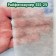 Covering material, 8 × 1.4 m, density 25 g/m², with UV stabilizer, white, Raifenhauser