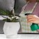 A set of tools for the gardener "to the one who makes the world more beautiful", 5 items