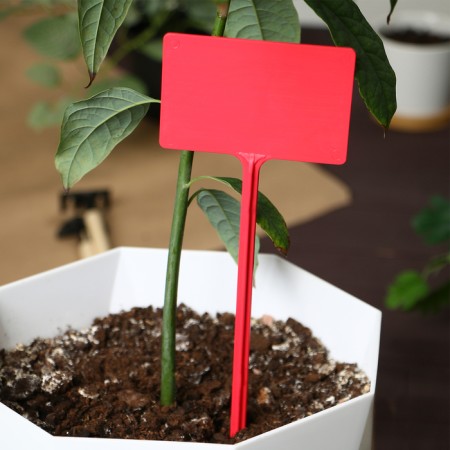 Garden signs for marking, 34 cm, set 10 pcs., Plastic, color mix, Greengo-4