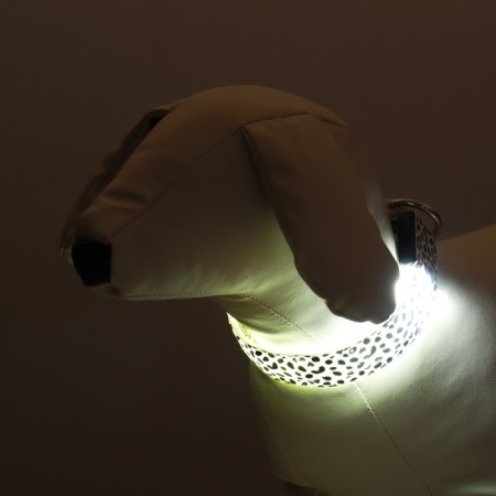 Collar with backlight Leopard 3 glow modes, size S, Osh 22-40 x 2.5 cm white-1