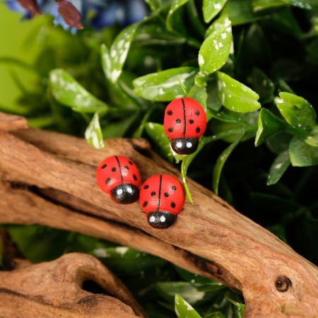 Decor Floristic "God's cow", 38 pcs., 13 x 11 mm-1