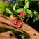 Decor Floristic "God's cow", 38 pcs., 13 x 11 mm