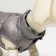 Dog jacket two -sided with print, size 8 (ds 23 cm, og 30, osh 22 cm), gray