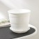 Pot for flowers with the pallet "Venice", 2 l, d = 16 cm, white color