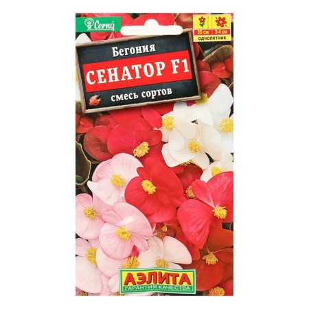 Begonia flowers eternal flowering "Senator F1", mixture, o, 10 pcs