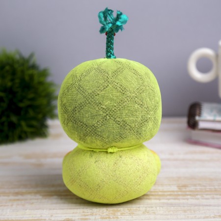 Growing gift Eco -Zhizhivchik "Girl" MIX-2