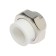 Meeerplast, 25 mm x 3/4 ", internal carving, detachable (American)