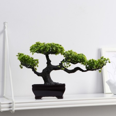 Bonsai in the pot "Delogs tree" 10.5x15 cm