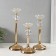 Summary metal, glass "Olivia" d = 4 cm, set 3 pcs h = 33 cm, 27 cm, 22 cm