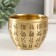 Souvenir brass "Cup to attract wealth" d- 9 cm 9.2x9.2x7.5 cm