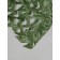 Masking mesh, 5 × 2 m, single, dark green, Greengo