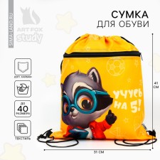A bag for shoes 