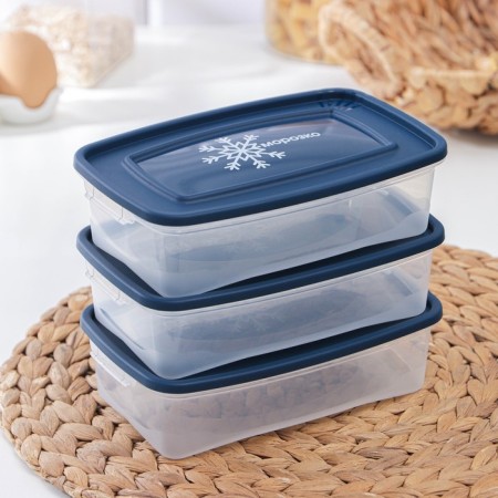 A set of containers for freezing products "Morozko", 3 pcs, 700 ml, color mix-4