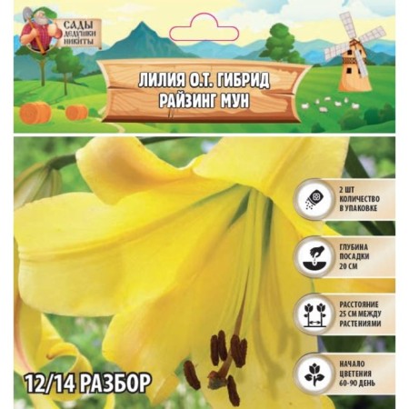 Lilia O.T. Hybrid "Rising Moon", rr 12/14, 2 pcs, spring 2024