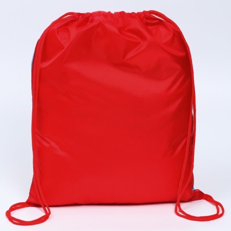 A bag for shoes 420 x 350 mm, car "maccuine" (soft polyester, density 210d)-2