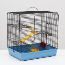 The cage for the rodents 