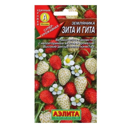 Strawberries "Zita and Gita", mixture, 0.04 g