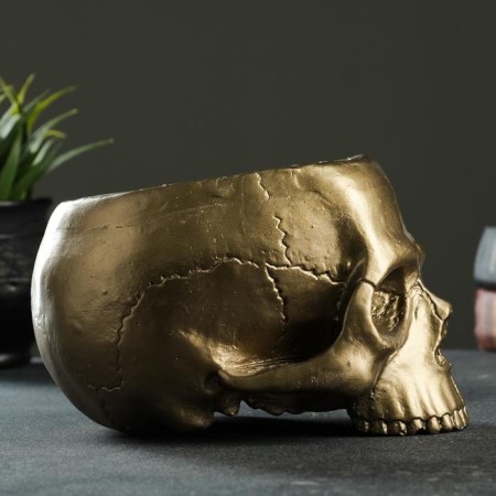 Kashpo - Organizer "Skull" Bronze, 0.2 l/19x14x12cm-4