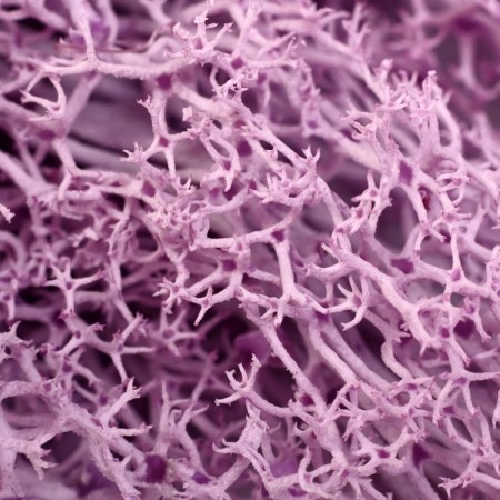 Artificial moss "lilac" 10 grams-1