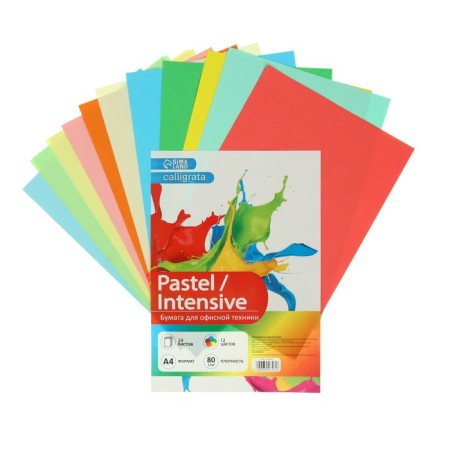 Color A4, 24 sheets, 12 colors "for office equipment", 80 g/m²